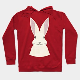 FAUNA / Rabbit Hoodie